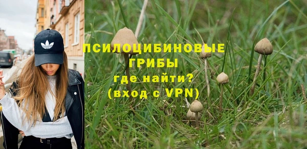2c-b Балахна
