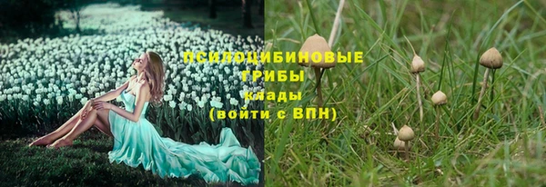 2c-b Балабаново