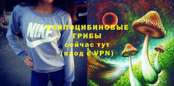 СК Белокуриха
