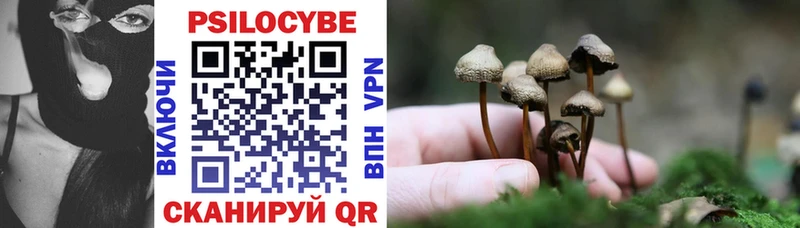 наркота  mega   Галлюциногенные грибы Psilocybe  Краснокаменск 
